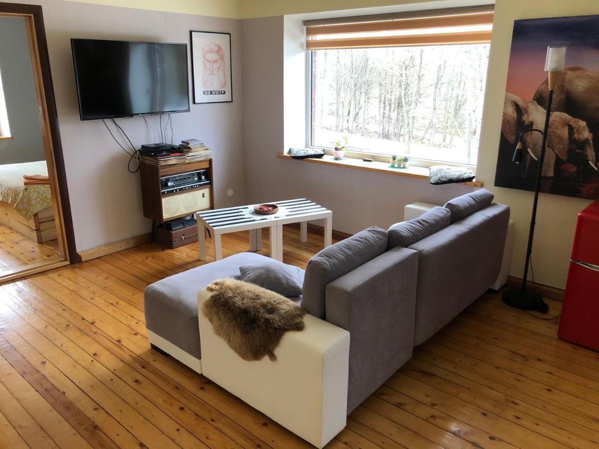 Stamerienas Apartamenti Extérieur photo